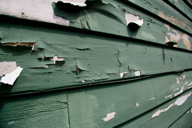 Trusted Wagener, SC Junk Removal Experts